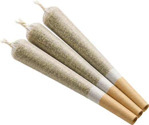 Cannabis pre-roll joints